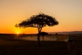 African sunrise with acacia trees and safari cars in Masai Mara, Kenya. Savannah background in Africa. Safari concept