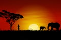 African Sunset Royalty Free Stock Photo