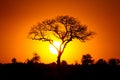 African sunset Royalty Free Stock Photo