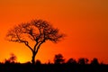 African sunset Royalty Free Stock Photo