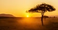 African sunset with acacia tree in Masai Mara, Kenya. Savannah background in Africa. Typical landscape in Kenya Royalty Free Stock Photo