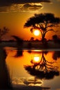 African sunset with acacia tree and reflection in water, Namibia Royalty Free Stock Photo