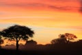 African Sunset - Background of color, beauty and harmony Royalty Free Stock Photo