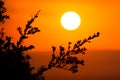 African Sunset Royalty Free Stock Photo