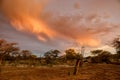 African Sunset Royalty Free Stock Photo