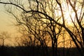 African sunset in the Kruger National Park, South Africa Royalty Free Stock Photo