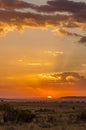African sunset in the Masai Mara Royalty Free Stock Photo