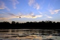 African Sunset - Okavango Delta - Botswana Royalty Free Stock Photo