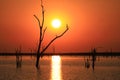 African sunset over the lake Kariba Royalty Free Stock Photo