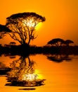 African sunset with reflection Royalty Free Stock Photo