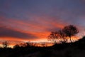 African sunset with silhouetted trees Royalty Free Stock Photo