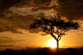 African Sunset. Tanzania, Africa