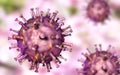 African swine fever virus Royalty Free Stock Photo