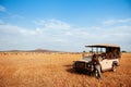 African Tanzania Safari game drive wildlife watch in grass plain of Serengeti Savanna