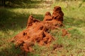 African termite hill Royalty Free Stock Photo
