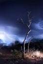 African Thunderstorm