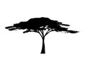 African tree icon, acacia tree silhouette, vector isolated