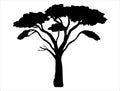 African tree silhouette vector art white background Royalty Free Stock Photo