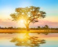 African Savannah landscape