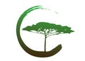 African tropical tree logo icon, acacia tree Savannah silhouette , green nature safari ecology concept, biological concept nature