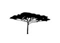 African tropical tree logo icon black and white color, acacia tree silhouette, green nature safari ecology concept vector isolated