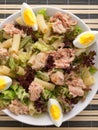 African tuna salad with tomatos and green peppers Royalty Free Stock Photo