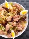 African tuna salad with tomatos and green peppers Royalty Free Stock Photo