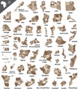 African vector isolated country maps