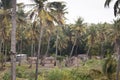 African village between palm trees in Tofo Royalty Free Stock Photo