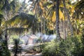 African village between palm trees in Tofo Royalty Free Stock Photo