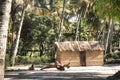 African village between palm trees in Tofo Royalty Free Stock Photo