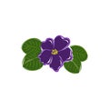 African violet pixel perfect. Blooming Saintpaulia. Indoor plant with pink flowers. Thin line customizable illustration. Contour