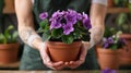 African Violet Propagation: From Leaf to Plant Royalty Free Stock Photo