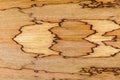 African walnut natural wood texture Royalty Free Stock Photo