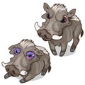 African warthogs, angry and sick. Vector animal Royalty Free Stock Photo