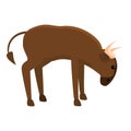 African wildebeest icon, cartoon style Royalty Free Stock Photo