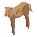 African wildebeest icon, isometric style Royalty Free Stock Photo