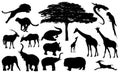 African wildlife vector Royalty Free Stock Photo