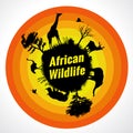 African wildlife