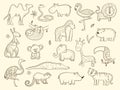 African wildlife animals. Jungle safari characters tiger elephant crocodile monkey vector set