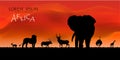 African Wildlife Background. vector of africa wildlife card. Royalty Free Stock Photo