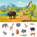 African Wildlife Concept