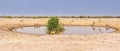 African wildlife drinking at a waterhole in Etosha National Park, Namibia. Royalty Free Stock Photo