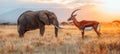 African wildlife sanctuary ad elephant and gazelle in serene savanna at dawn embodying harmony