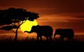 African wildlife on sunset with elephants Royalty Free Stock Photo