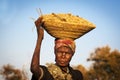 African woman balancing a basket with cereals in her head in the Caprivi Strip, Namibia Royalty Free Stock Photo