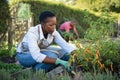African woman grows plants in the garden Royalty Free Stock Photo