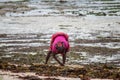 African woman from Mozambique at the shore of Indian Ocean