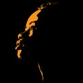 African woman portrait silhouette in backlight. Illustration. Royalty Free Stock Photo