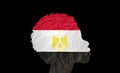 African woman silhouette with Egypt national flag